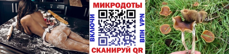 наркотики  Асбест  Галлюциногенные грибы GOLDEN TEACHER 
